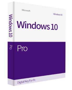Windows 10 Professional - Pro