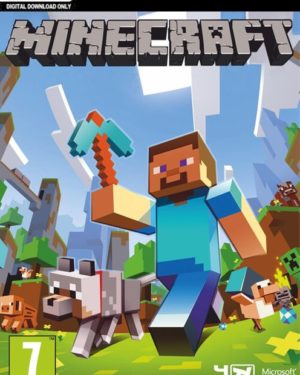 MINECRAFT PC (JAVA EDITION) | מיינקראפט למחשב